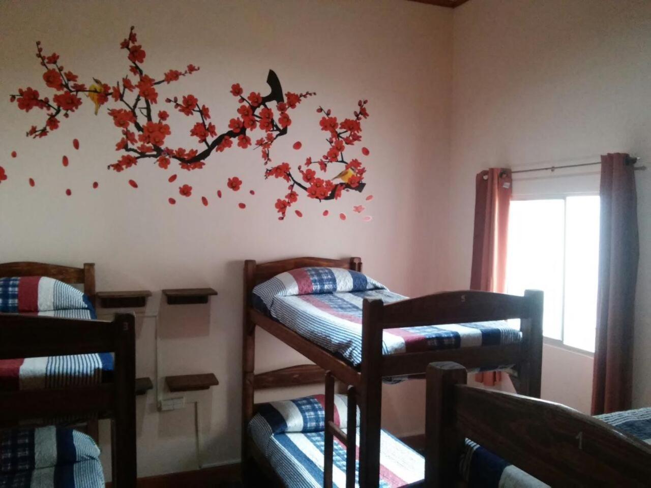 Posada Del Gaucho Hostel Montevideo Ngoại thất bức ảnh
